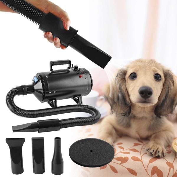 Soffiatore per cani: tutto quello che c'è da sapere per asciugare il pelo